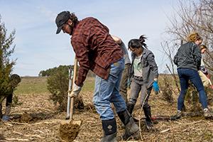 A group of people digging